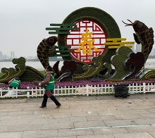 上海立体绿化施工