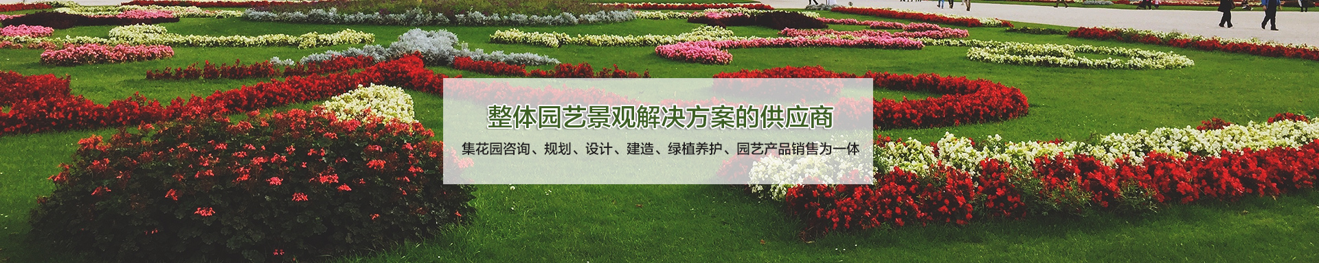 上海立体绿化工程